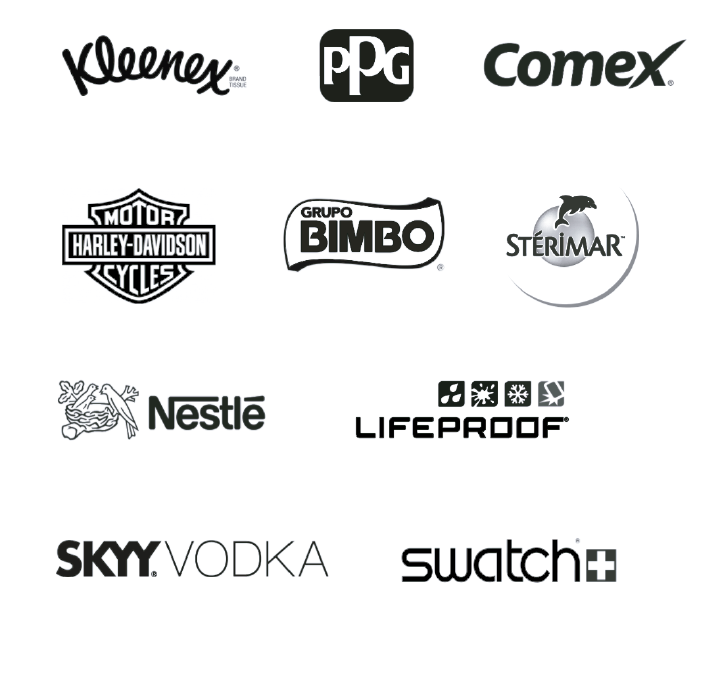 partners veinticuatro7